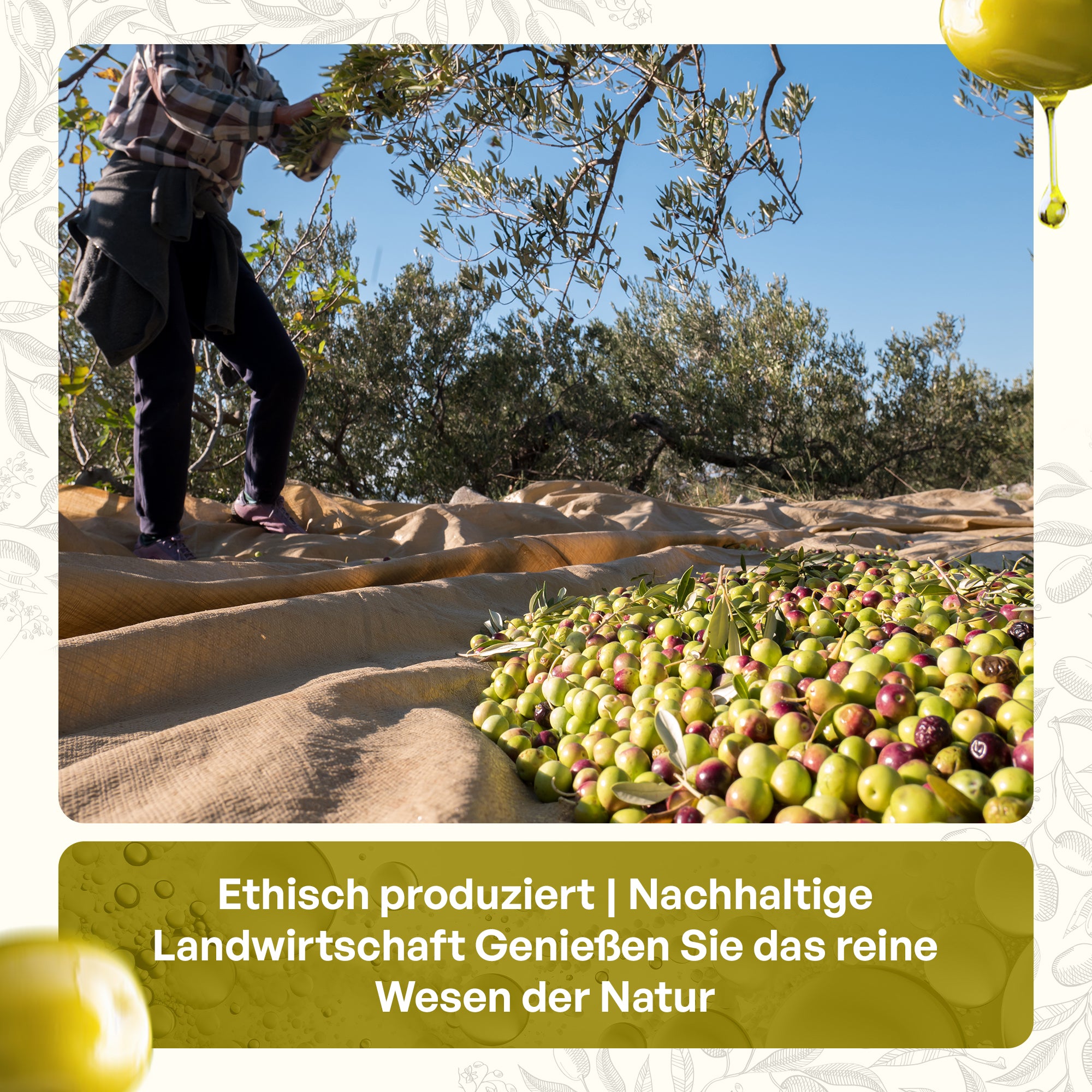 Olivenöl 1L OliviAmo – 100% Echtes Natives Olivenöl Extra aus Avellino 🇮🇹