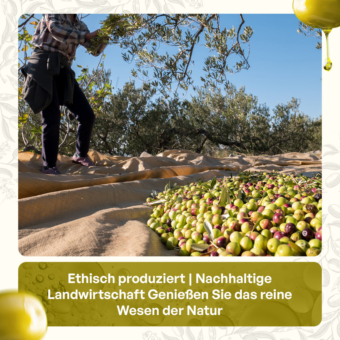 Olivenöl 1L OliviAmo – 100% Echtes Natives Olivenöl Extra aus Avellino 🇮🇹